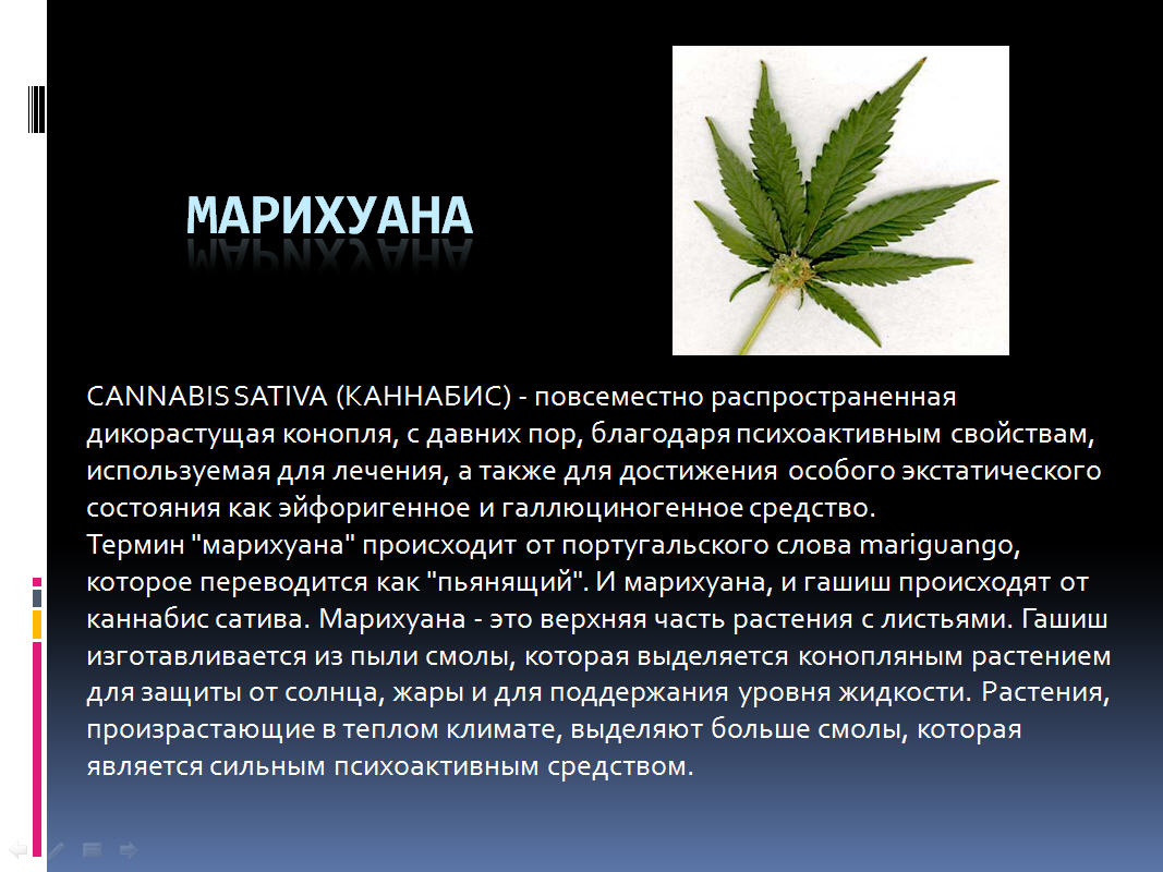 Bbc марихуана как действуют наркотики онлайн тор браузер xp скачать вход на гидру